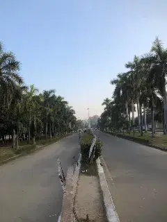 Panjab University Chandigarh Campus photo 12